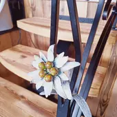 garde corps metallique fer forger fleur d'edelweiss auvergne rhone alpes cantal